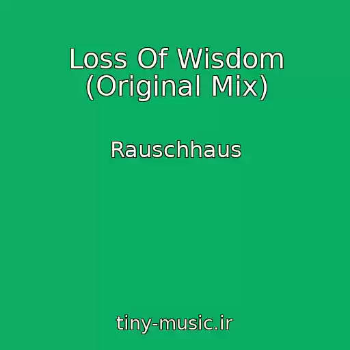کاور آهنگ Loss Of Wisdom (Original Mix) از Rauschhaus