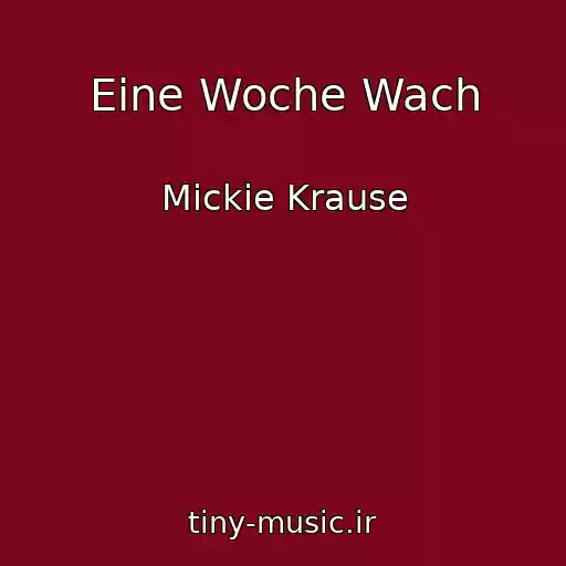 کاور آهنگ Eine Woche Wach از Mickie Krause