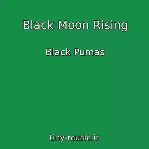 کاور آهنگ Black Moon Rising از Black Pumas