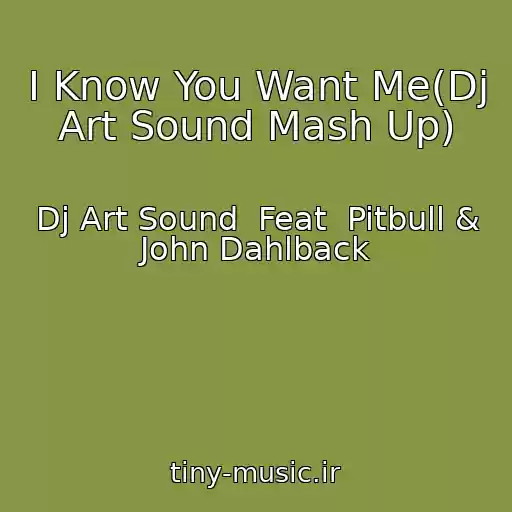کاور آهنگ I Know You Want Me(Dj Art Sound Mash Up) از Dj Art Sound  Feat  Pitbull & John Dahlback