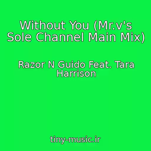 کاور آهنگ Without You (Mr.v's Sole Channel Main Mix) از Razor N Guido Feat. Tara Harrison