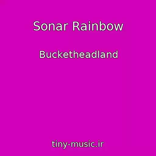 کاور آهنگ Sonar Rainbow از Bucketheadland
