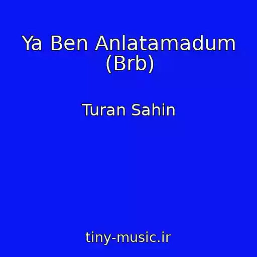 کاور آهنگ Ya Ben Anlatamadum (Brb) از Turan Sahin