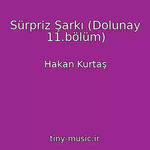 کاور آهنگ Sürpriz Şarkı (Dolunay 11.bölüm) از Hakan Kurtaş