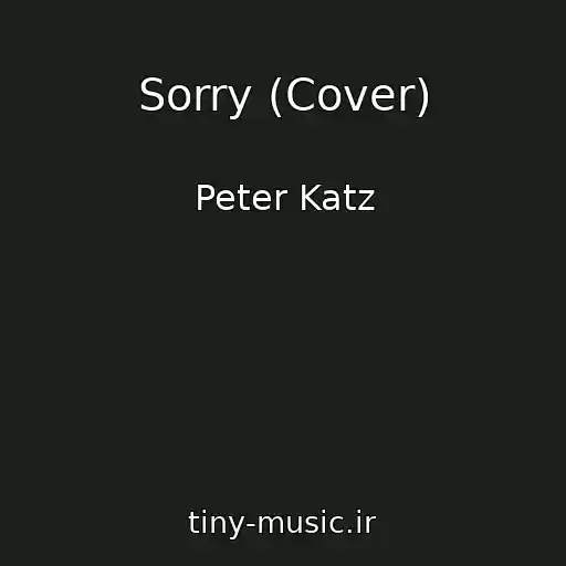 کاور آهنگ Sorry (Cover) از Peter Katz