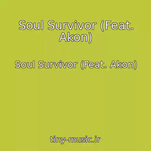 کاور آهنگ Soul Survivor (Feat. Akon) از Soul Survivor (Feat. Akon)