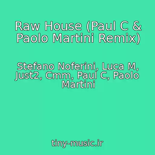 کاور آهنگ Raw House (Paul C & Paolo Martini Remix) از Stefano Noferini, Luca M, Just2, Cmm, Paul C, Paolo Martini