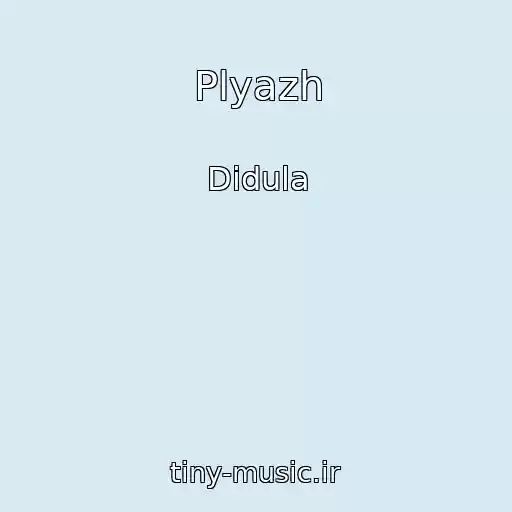 کاور آهنگ Plyazh از Didula
