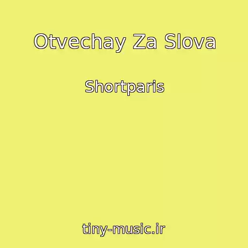 کاور آهنگ Otvechay Za Slova از Shortparis
