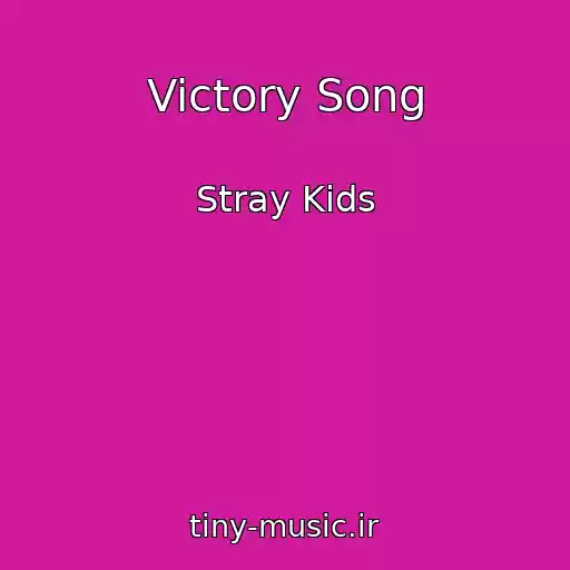 کاور آهنگ Victory Song از Stray Kids
