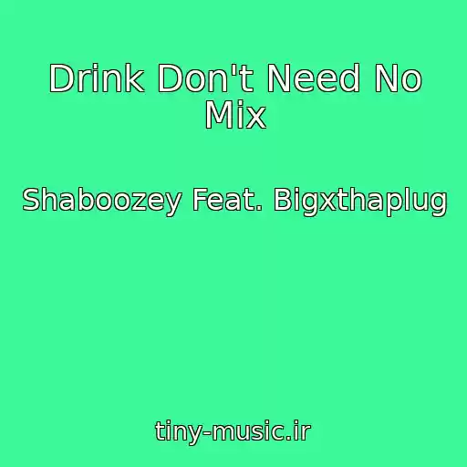 کاور آهنگ Drink Don't Need No Mix از Shaboozey Feat. Bigxthaplug