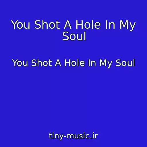 کاور آهنگ You Shot A Hole In My Soul از You Shot A Hole In My Soul