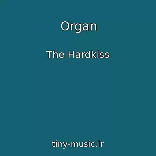 کاور آهنگ Organ از The Hardkiss
