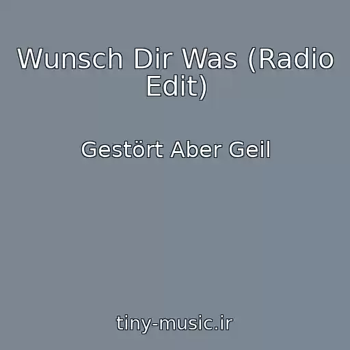 کاور آهنگ Wunsch Dir Was (Radio Edit) از Gestört Aber Geil