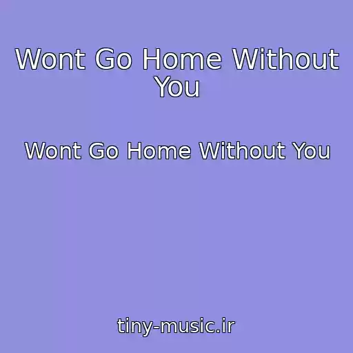 کاور آهنگ Wont Go Home Without You از Wont Go Home Without You
