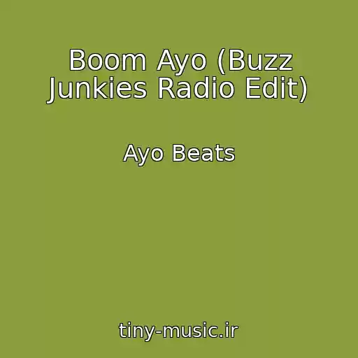 کاور آهنگ Boom Ayo (Buzz Junkies Radio Edit) از Ayo Beats