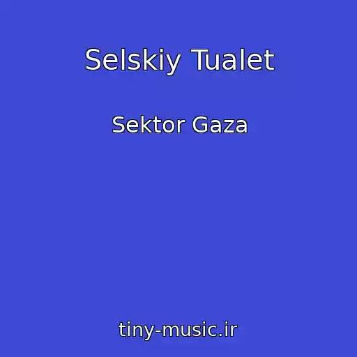 کاور آهنگ Selskiy Tualet از Sektor Gaza