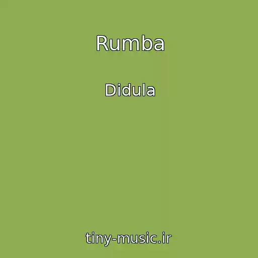 کاور آهنگ Rumba از Didula