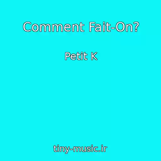 کاور آهنگ Comment Fait-On? از Petit K