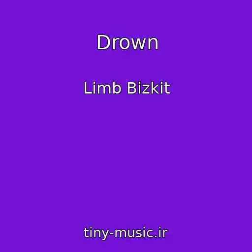کاور آهنگ Drown از Limb Bizkit