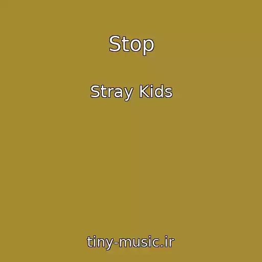 کاور آهنگ Stop از Stray Kids