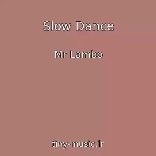کاور آهنگ Slow Dance از Mr Lambo
