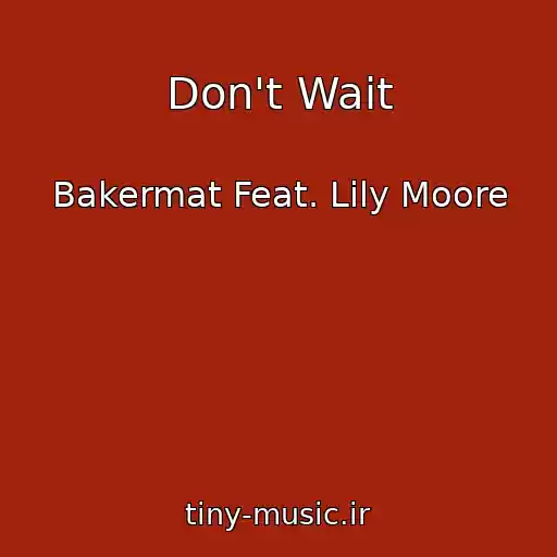 کاور آهنگ Don't Wait از Bakermat Feat. Lily Moore