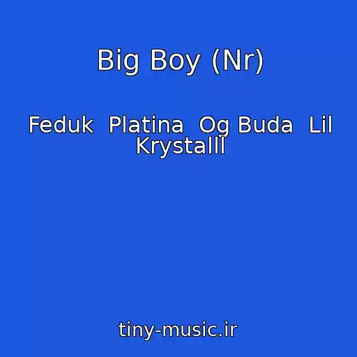 کاور آهنگ Big Boy (Nr) از Feduk  Platina  Og Buda  Lil Krystalll