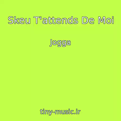 کاور آهنگ Skeu T'attends De Moi از Jogga