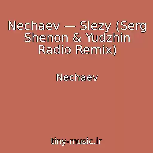 کاور آهنگ Nechaev — Slezy (Serg Shenon & Yudzhin Radio Remix) از Nechaev