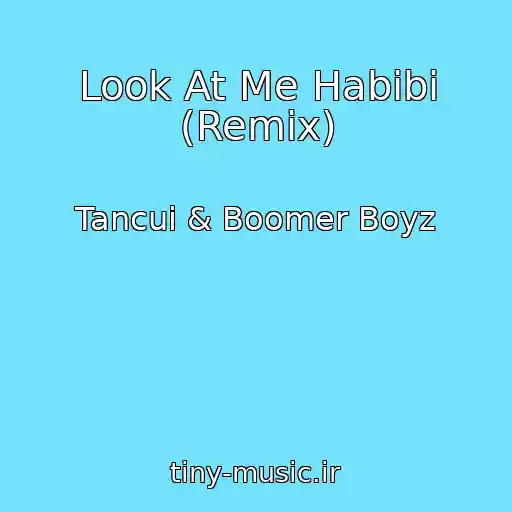 کاور آهنگ Look At Me Habibi (Remix) از Tancui & Boomer Boyz