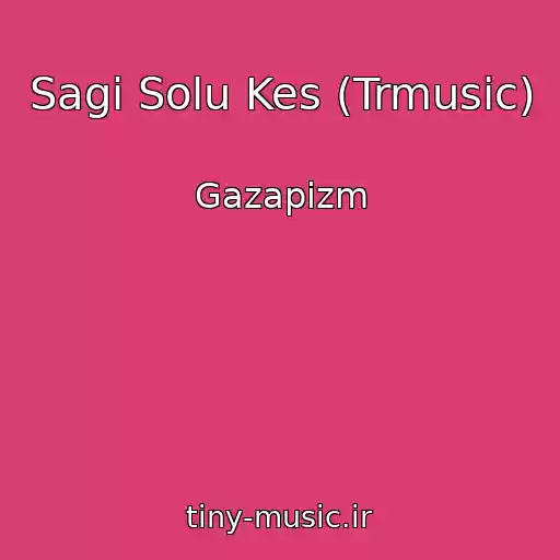 کاور آهنگ Sagi Solu Kes (Trmusic) از Gazapizm