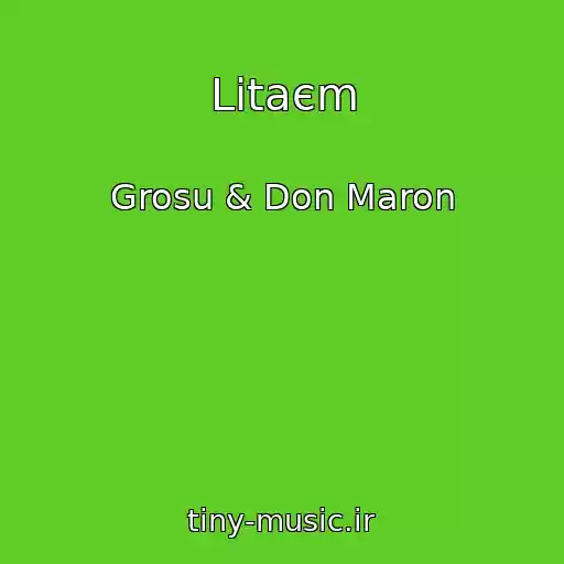 کاور آهنگ Lіtaєm از Grosu & Don Maron
