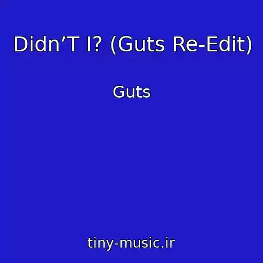 کاور آهنگ Didn’T I? (Guts Re-Edit) از Guts