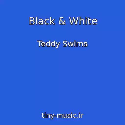 کاور آهنگ Black & White از Teddy Swims