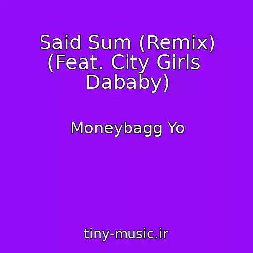 کاور آهنگ Said Sum (Remix) (Feat. City Girls  Dababy) از Moneybagg Yo