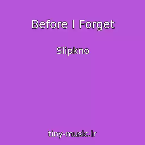 کاور آهنگ Before I Forget از Slipkno