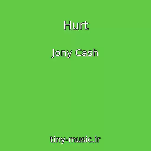 کاور آهنگ Hurt از Jony Cash