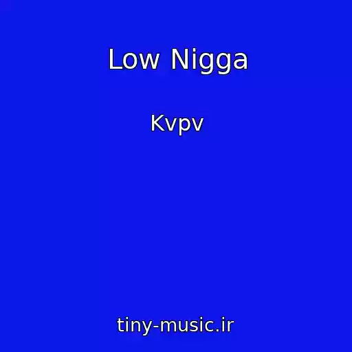 کاور آهنگ Low Nigga از Kvpv