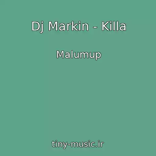 کاور آهنگ Dj Markin - Killa از Malumup