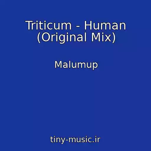 کاور آهنگ Triticum - Human (Original Mix) از Malumup