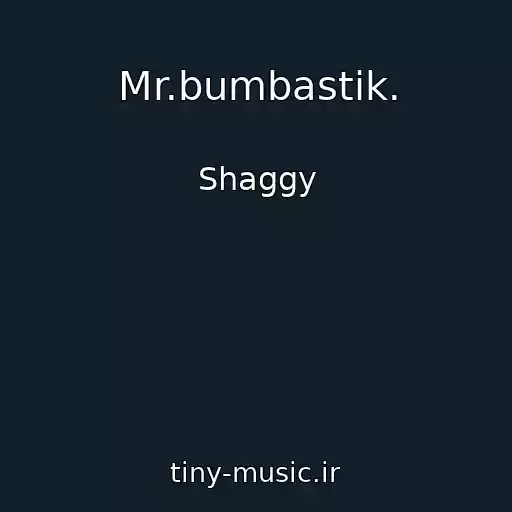 کاور آهنگ Mr.bumbastik. از Shaggy
