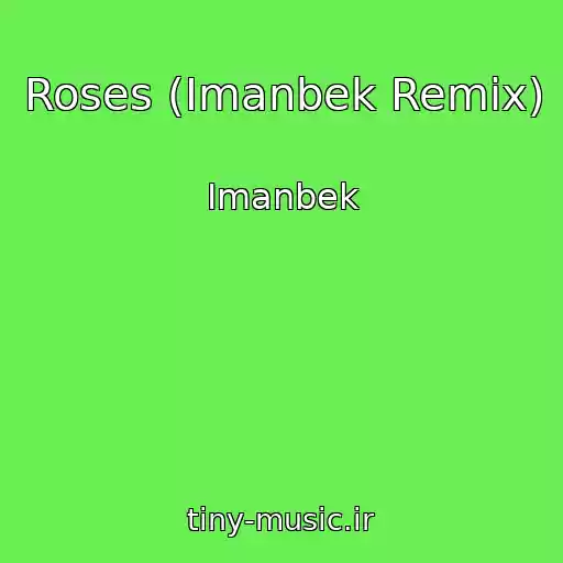 کاور آهنگ Roses (Imanbek Remix) از Imanbek