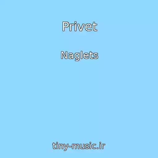 کاور آهنگ Privet از Naglets