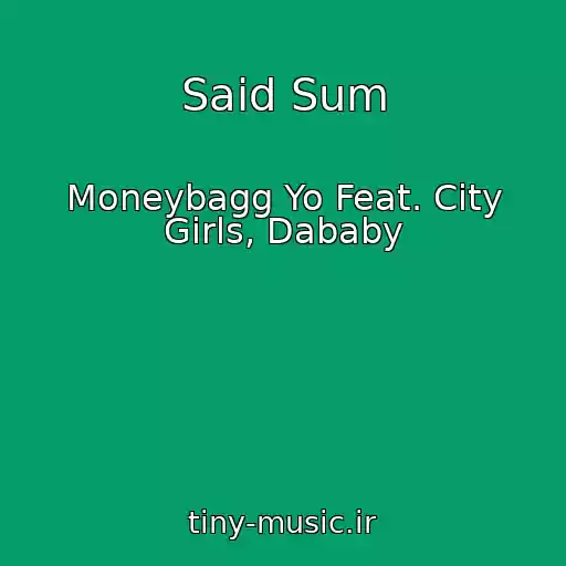 کاور آهنگ Said Sum از Moneybagg Yo Feat. City Girls, Dababy