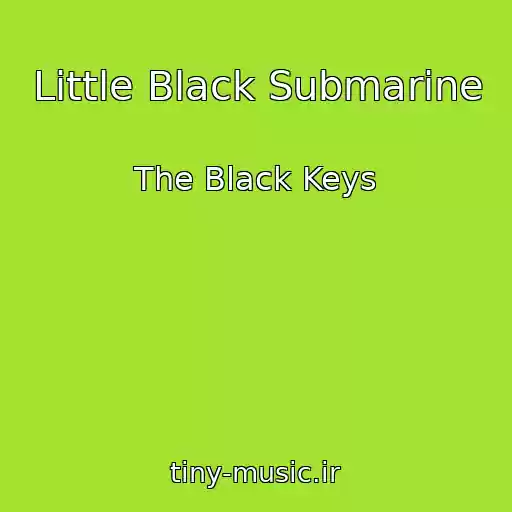 کاور آهنگ Little Black Submarine از The Black Keys