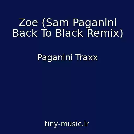 کاور آهنگ Zoe (Sam Paganini Back To Black Remix) از Paganini Traxx
