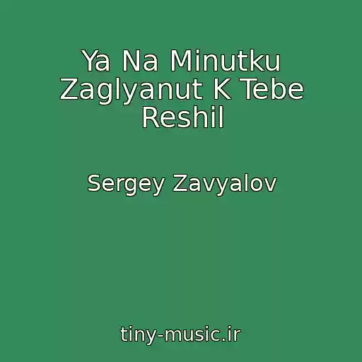 کاور آهنگ Ya Na Minutku Zaglyanut K Tebe Reshil از Sergey Zavyalov