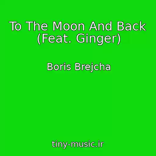 کاور آهنگ To The Moon And Back (Feat. Ginger) از Boris Brejcha