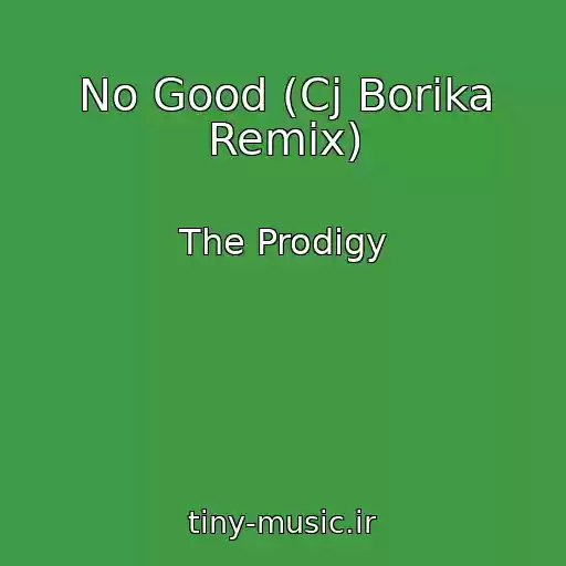 کاور آهنگ No Good (Cj Borika Remix) از The Prodigy
